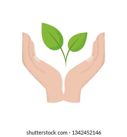 Hands holding leaf vector illustration. Zero waste vector drawing. With grain and noise texture. Recycling icon