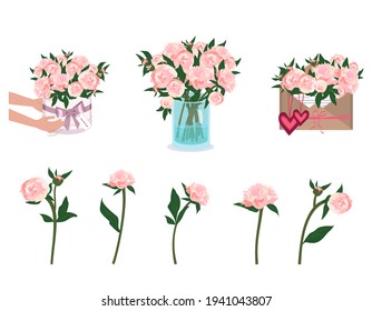 Hands are holding peonies. Bouquet delivery. Flowers in a vase, envelope and round box. Spring and summer plants, vector decoration