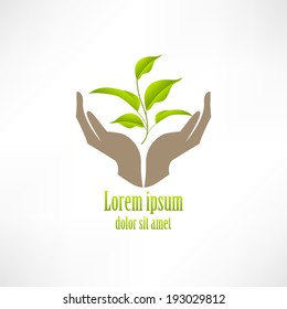 Hands holding plant abstract template. Green concept. Safe idea. Green sprout.