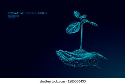 Hands holding plant sprout ecological abstract concept. 3D render seedling tree leaves. Save planet nature environment grow life eco polygon triangles low poly vector illustration