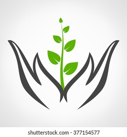 hands holding plant. vector illustration.