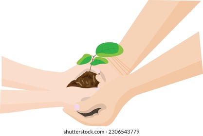 hands holding plant Vector image or clipart
