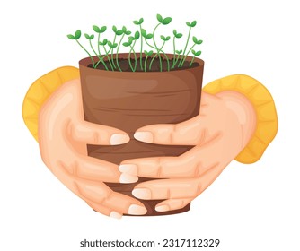 Hands holding a pot with sprouts of young seedlings. Vector isolated cartoon design element, gardening and sowing concept.
