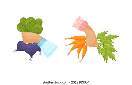 Hands Holding Ripe and Juicy Agricultural Crops Vector Set