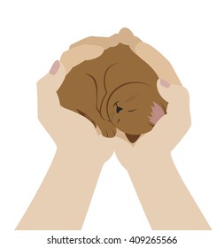 Hands holding small kitten. Cat in hands. Top view. Vector. Animal care and protection concept.