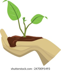 Hands are holding small plants to be immediately planted in the ground - Internation day of plant health