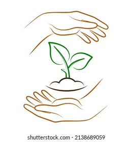 Manos sosteniendo el suelo con plantas. Signo vectorial de protección del medio ambiente, símbolo de concepto ecológico. Icono de lineamiento de ilustración agrícola.