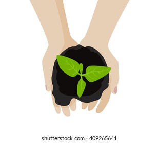 Hands holding sprout plant in soil. Top view. Vector illustration.