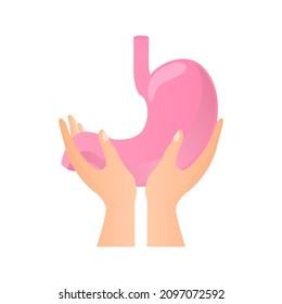hands holding stomach, on a white background, healthy body, vector illustration