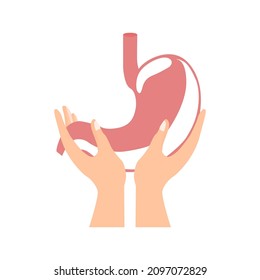 hands holding stomach, on a white background, healthy body, vector illustration