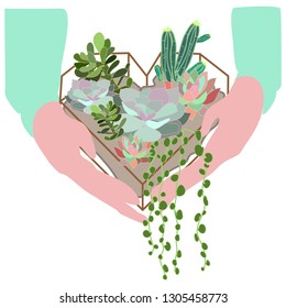 Hands holding succulents in heart shaped terrarium vector isolated
