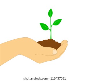 Hands holding the tree on a background