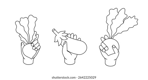 Mãos segurando verduras. Beterraba, berinjela e beterraba branca. Desenho vetorial minimalista para livros de colorir, design de alimentos saudáveis. Ilustração vetorial.
