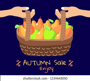 Hands holding a wicker basket of fresh apples and pears. Autumn sale. Vector illustration. Flat style design. Concept harvest. Banner of autumn season.