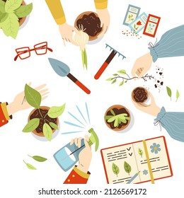 Hands holding and working with house plants, flat vector illustration. Top view on hands of people who cares about houseplant, watering and replanting.