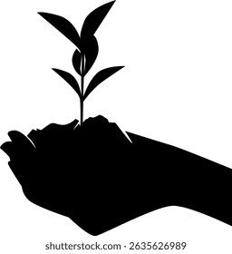 Hands Holding Young Plant Seedlings, World Environment Day