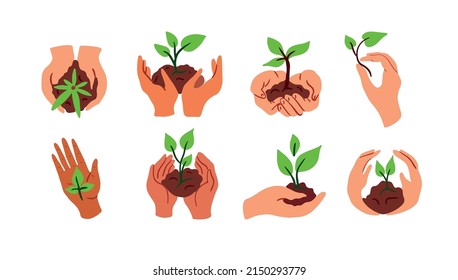 Hands holding a young plant sprout.Eco symbol.Nature protection emblem.Vector illustration.