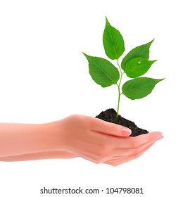 Hands holding young plant. Vector.