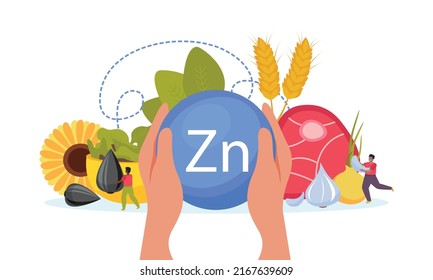 Hands holding zinc micro element with healthy food in background flat composition vector illustration