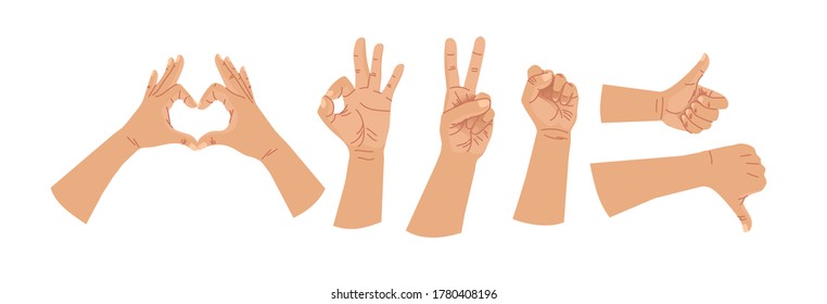 Hands human gestures set. Caucasian hand different human finger gesture signs collection isolated vector illustration.