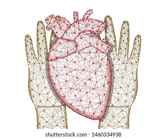 Hands and human heart low poly design, human organ in polygonal style, cardiology wireframe vector illustration made from points and lines on a white background