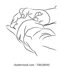 hands human , Hold hands.
