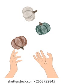 Hands juggling small cute acorn squashes. Thanksgiving or Halloween concept. Vector isolated illustration.