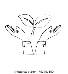 hands with leafs plant