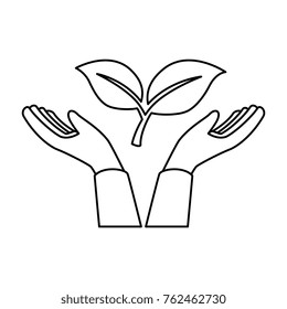 hands with leafs plant