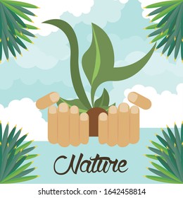 hands lifitng plant ecology cultivating vector illustration design