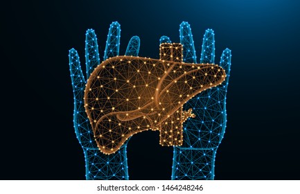 Hands and liver low poly design, human organ in polygonal style, exocrine gland wireframe vector illustration made from points and lines on dark blue background