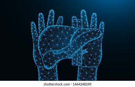 Hands and liver low poly design, human organ in polygonal style, exocrine gland wireframe vector illustration made from points and lines on dark blue background