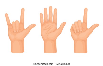 Hands Making Different Gestures and Signs Isolated on White Background Vector Set