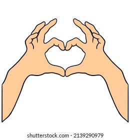 Hands making a heart shape. Vector and illustration
