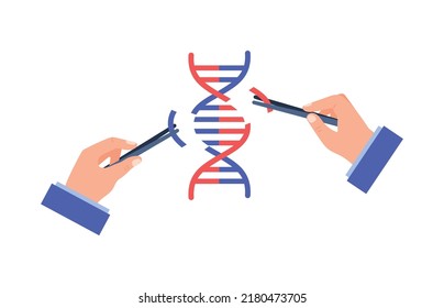 Manos modificando la hélice del ADN con pinzas, ilustración abstracta de vector plano aislada en fondo blanco. Ingeniería genética, biotecnología y conceptos de bioingeniería. Los científicos cambian el ADN.