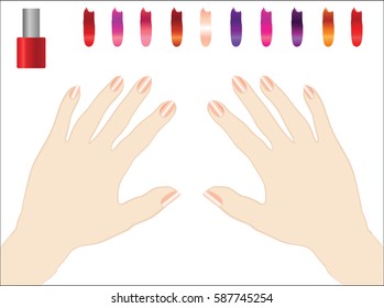 The hands and nails with samples of colors of nail polish for manicure, vector illustration