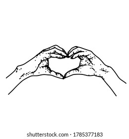 
Hands on white background. Vector illustration.