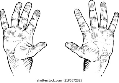 Hands open as stop sign.Hand language, pause, non-verbal communication.Black and white vector illustration on white background