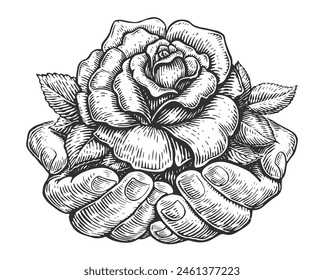 Hands palms holding flower. Rose bud with leaves in hand. Hand drawn sketch vintage vector illustration