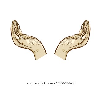 Hands palms together. Vector colorful illustration in engraved style