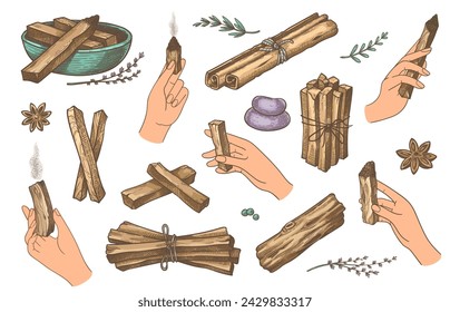 Manos con palos de palo santo. Palm sosteniendo palos de madera fragante para aromaterapia y meditaciones. Vector dibujado a mano mystic healing y palos de relajación de madera natural dibujado a mano ilustración