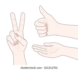 Hands - peace, thumbs up, open palm - vector illustration