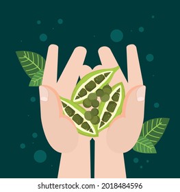 hands with peas fresh food