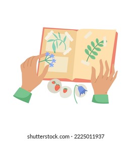 Hands of person with plants and scrapbook vector illustration. Arms of creative worker or student sticking flowers and leaves to notebook pages on white background. Creativity, decoration concept