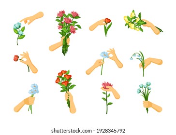 Hands pick and hold flowers set. Gentle springing snowdrops gift red plucked chrysanthemums for birthday bouquet blue field cornflowers romantic confession yellow elegant tulips. Vector natural.