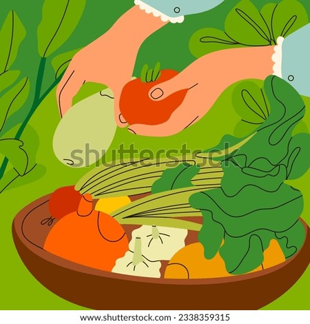 Hands picking organic vegetables in the garden or farm. Hand drawn Vector illustration. Harvesting, horticulture, gardening, seasonal agricultural work concept. Poster, print, design template
