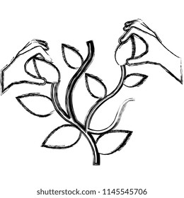 hands with plant ecology