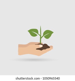 Hands and plant icon