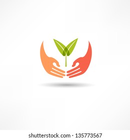 Hands And Plant Icon