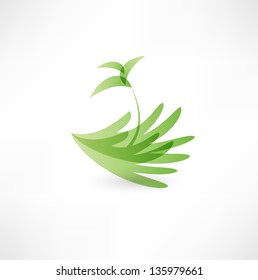 Hands and plant icon
